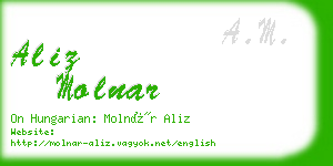 aliz molnar business card